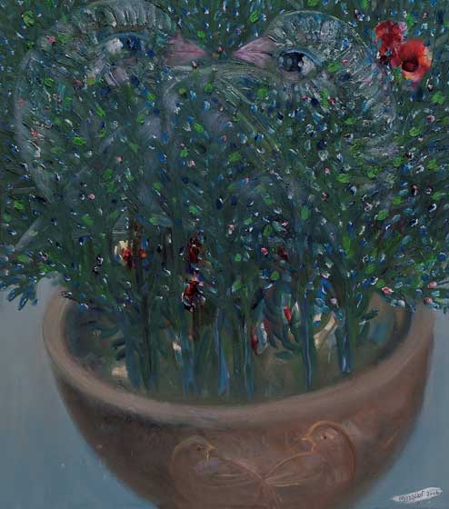 2005 - 2006 D&Ouml;NEMİ