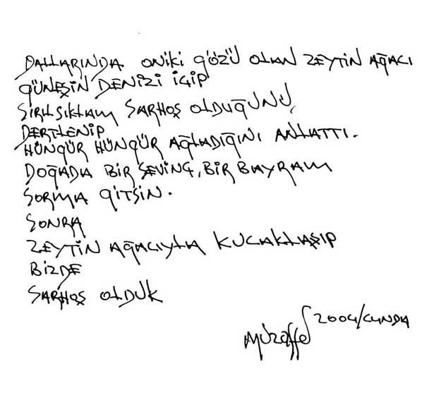 ŞİİRLER