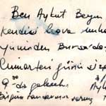 Aykut Hamzagil notu, 1979